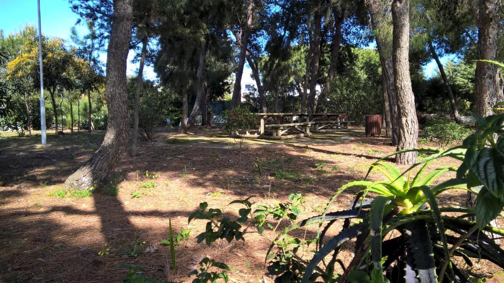 Apartamentos Bosque São José room 3